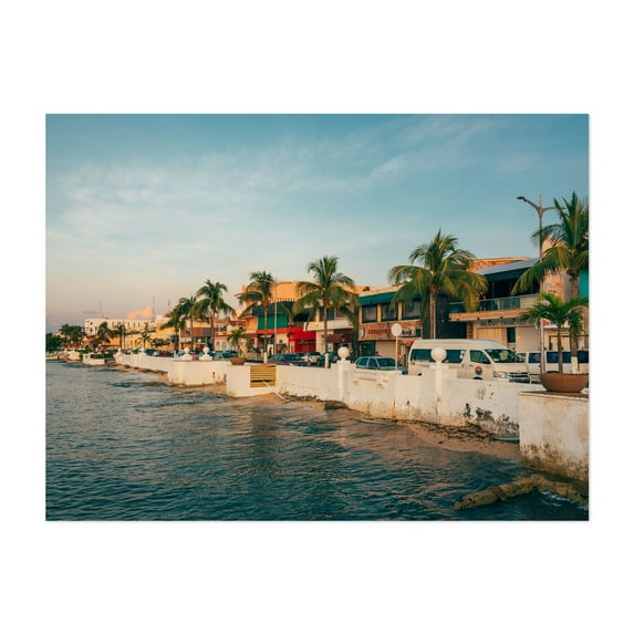 Cozumel Coastal 01 - San Miguel de Cozumel Quintana Roo Mexico Photography Coastal Tropical Palm Tree Vintage Ocean Harbor Travel Poster Unframed Wall Art Print 22 x 28 inches