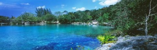 Cozumel Mexico Canvas Art - Panoramic Images (36 x 12)