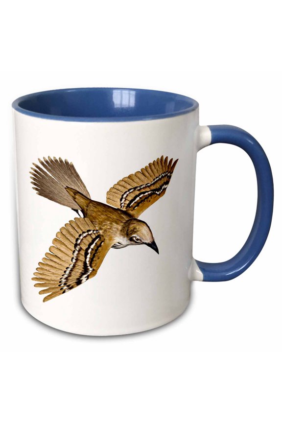 , Cozumel Thrasher, 15oz Two-tone Blue Mug