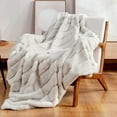 thumbnail image 1 of Cozy Bliss Luxury Soft Faux Fur Throw Blanket for Couch Living Room Bedroom, 50 * 60 Inches Beige, 1 of 5