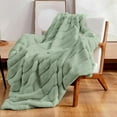 thumbnail image 1 of Cozy Bliss Luxury Soft Faux Fur Throw Blanket for Couch Living Room Bedroom, 50 * 60 Inches Green, 1 of 5