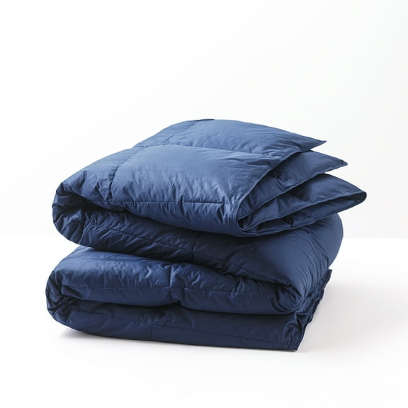 Cozy Clouds All Season Cotton Twill Down Blue Twin Comforter