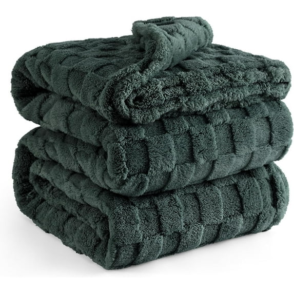 Cozy Comfort Green Fleece Blanket for Couch - Super Soft Cozy Queen Blankets for Women,Girls, 90x90 Inches