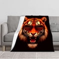 thumbnail image 1 of Cozy Flannel Blanket - Soft Warm Durable Perfect for Sofa Travel & Bed - Stylish Horizontal Stripes Design in Vibrant Colors, 1 of 5