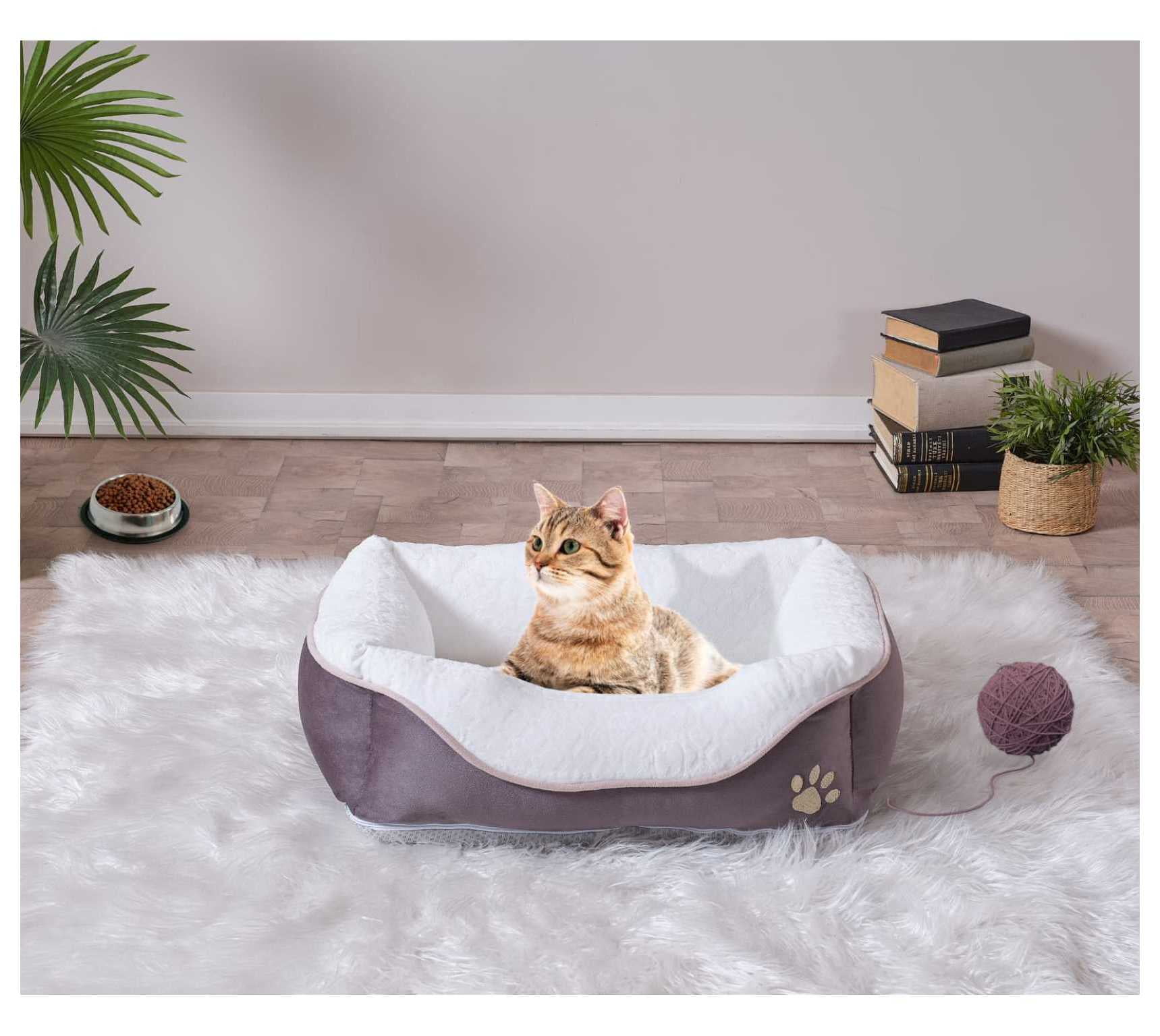 Cozy Foam Pet Bed, Anthracite Large 23x29 - Orthopedic Dog Bed for Small to Medium Pets - Washable Plush Cover - Non-Slip Bottom Anthracite + Contemporary + Cat + Large (41 - 70 lbs) + Foam