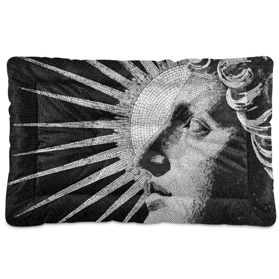 Cozy Mat Pet Bed Indoor Outdoor Warm Soft For Cat Dog Puppy(S/M) Sun's Rays Extending