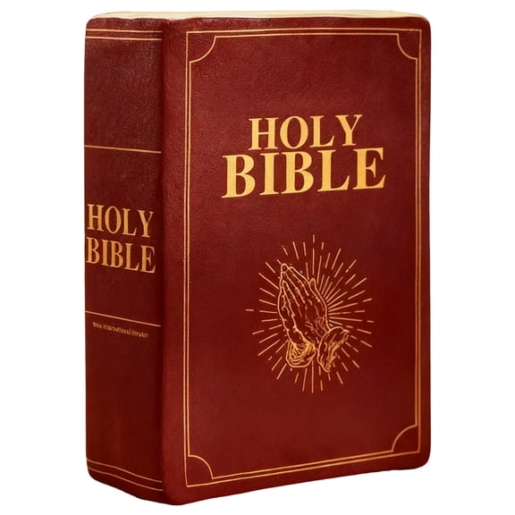 Cozy Plushie Bible Pillow Gift for Comfort Prayer Openable Book Shaped with Printed Embroidered Heartfelt Biblical Verses for Spiritual Reflection