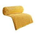 thumbnail image 1 of Cozy Soft Velvet Blanket for Bed and Couch Thick Flannel Throw for All Season Warmth and Comfort 70x100cm, 1 of 4