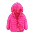 thumbnail image 1 of Cozy Toddler Girls Hooded Down Puffer Jacket Warm Winter Outerwear, 1 of 3