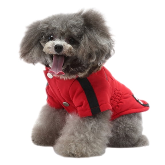 Cozy Winter Dog Hat & Jacket Set