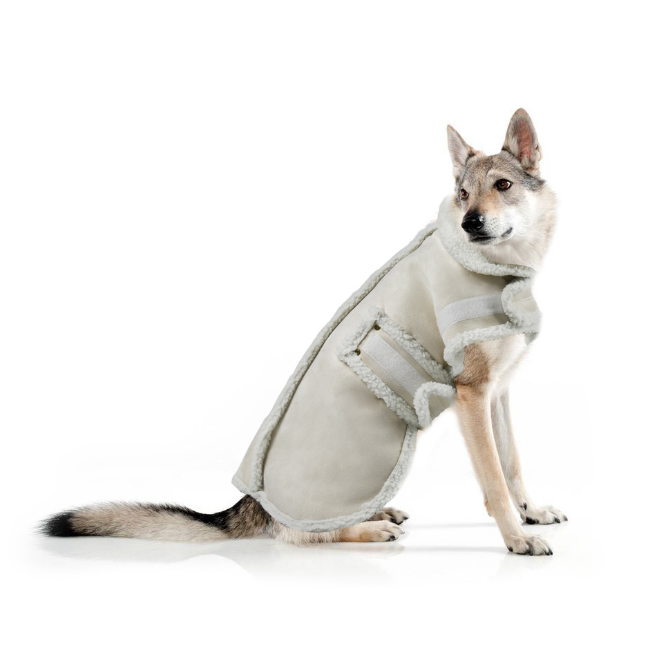 Cozy Winter Dog Jacket Provide Ultimate Warmth and Comfort, Add