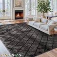 thumbnail image 1 of CozyDesg Shag Area Rugs,4'x6' Soft Fluffy Shaggy Carpet for Living Room,Large Rug for Bedroom Dining Room Home Decor Room Decor,Dark Gray & Black, 1 of 8