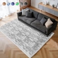 thumbnail image 1 of Cozydesg 4ftx6ft Large Area Rugs,Shag Fluffy Rugs for Living Room Bedroom, Modern Indoor Floor Rugs Soft Carpet Home Decro,Light Gray, 1 of 7
