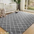 thumbnail image 1 of CozyDesg Shag Area Rugs,5'x7' Soft Fluffy Shaggy Carpet for Living Room,Large Rug for Bedroom Dining Room Home Decor Room Decor,Light Gray & White, 1 of 8