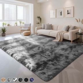 CozyDesg 8ft x 10ft Area Rugs, Soft Fluffy Area Rugs Floor Mat Floor Rugs for Living Room Bedroom Modern Decor Carpet, Dark Gray