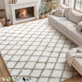 thumbnail image 1 of CozyDesg Shag Area Rugs,6'x9' Soft Fluffy Shaggy Carpet for Living Room,Large Rug for Bedroom Dining Room Home Decor Room Decor,White & Beige, 1 of 8