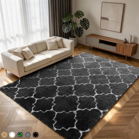 CozyDesg Soft Area Rugs for Living Room Bedroom,4ftx6ft Large Rug Fluffy Fuzzy Shag Shaggy Soft Plush Carpet,Dark Gray & White
