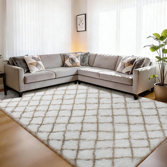 CozyDesg Soft Fluffy Shag Area Rug 4x6 ft, Plush Carpet for Living Room Bedroom, White & Beige Decorative Rug