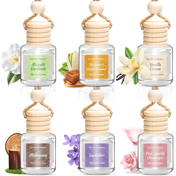 CozyNestFinds 6 Pack Car AirFreshener for Women,Long Lasting Slow-ReleaseNatural Essential Oil Scents Air Freshener Diffuser, Hanging Cute Car Accessories, Refined Auto Interior Decor Gift (8ml Each)