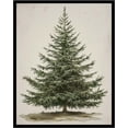thumbnail image 1 of CozyNestFinds Vintage Christmas Tree, Pine Tree Vintage Print, Holiday Decor, Rustic Winter Tree Print, Botanical Winter Art, Christmas Tree Wall Decor (11x14 inch + Black Framed), 1 of 9