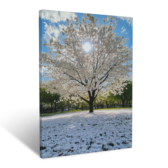 CozyNet Blooming Cherry Tree Surrounded By Scattered Petals And Spring Breeze Wall Art Prints With Frame Canvas Perfect for Living Room & Bedroom, Ready to Hang, Wall Decor 12"x16"in