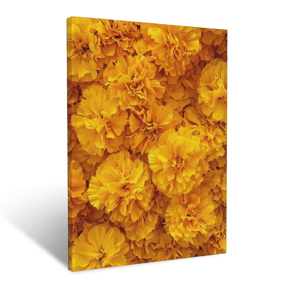 CozyNet Close Up Of Bright Marigold Petals Reflecting Golden Light Wall Art Prints With Frame Canvas Perfect for Living Room & Bedroom, Ready to Hang, Wall Decor 12"x16"in