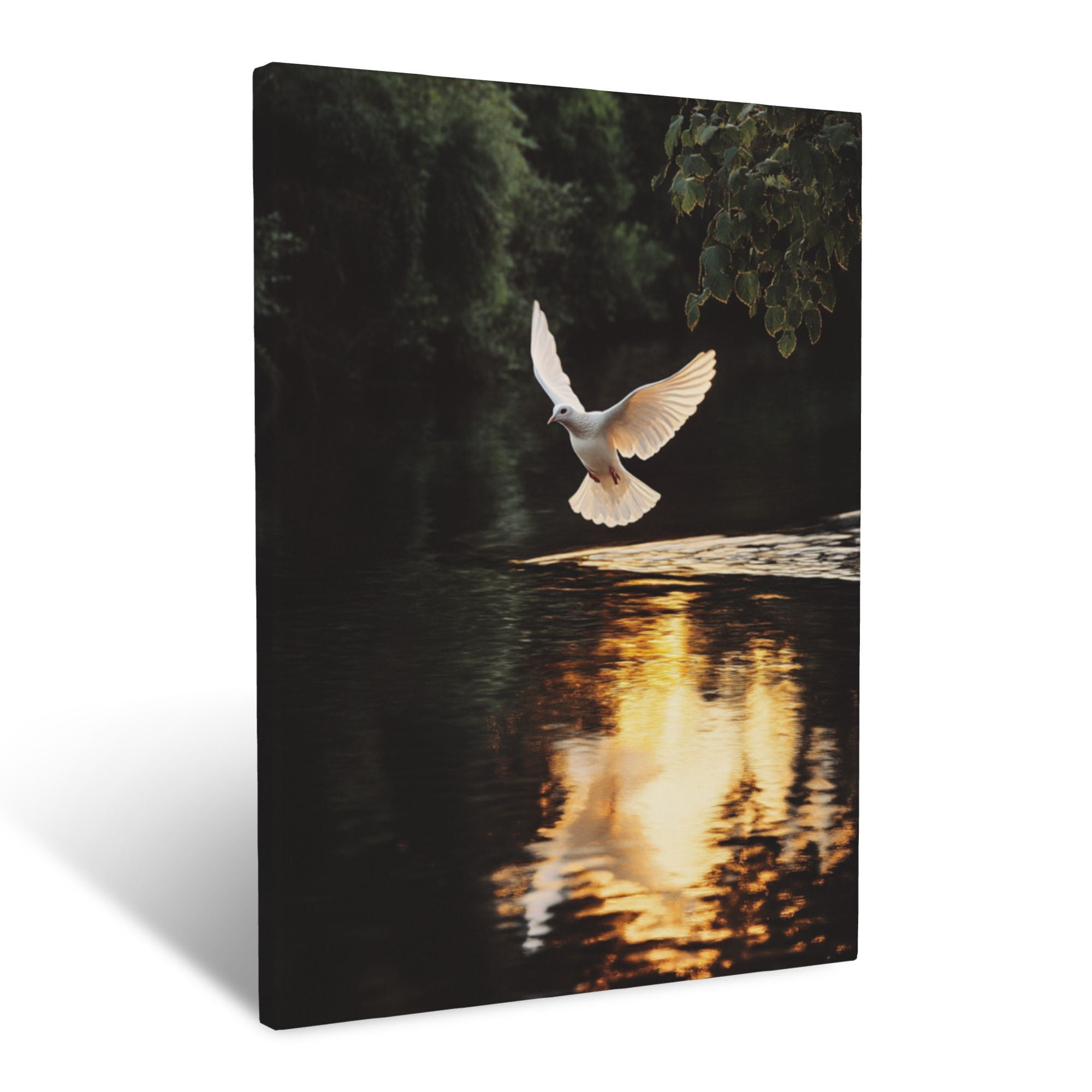 CozyNet Dove Flying Over A Tranquil River, Glowing Reflection Rippling ...