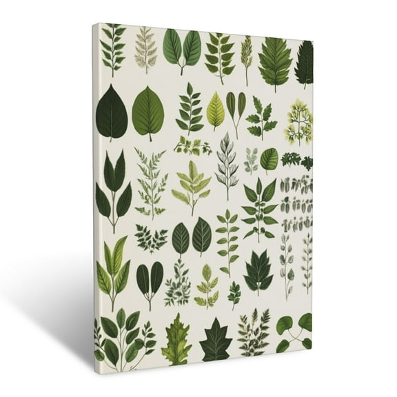 CozyNet Hand Drawn Botanical Chart Of Diverse Plant Species With Detailed Leaf Anatomy Wall Art Prints With Frame Canvas Perfect for Living Room & Bedroom, Ready to Hang, Wall Decor 12"x16"in