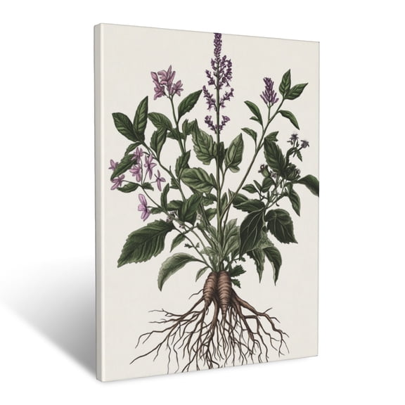 CozyNet Hand Drawn Botanical Illustration Of Medicinal Herbs & Roots Wall Art Prints With Frame Canvas Perfect for Living Room & Bedroom, Ready to Hang, Wall Decor 12"x16"in
