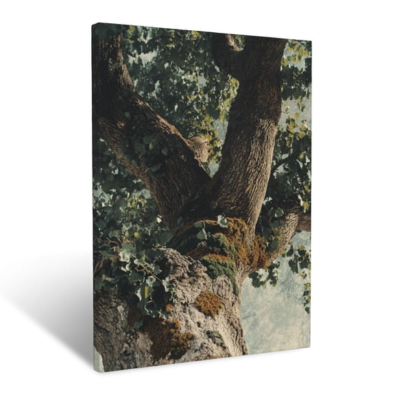 CozyNet Imposing, Elegant Oak Tree With Sprawling Branches Adorned With Moss & Ivy Wall Art Prints With Frame Canvas Perfect for Living Room & Bedroom, Ready to Hang, Wall Decor 12"x16"in