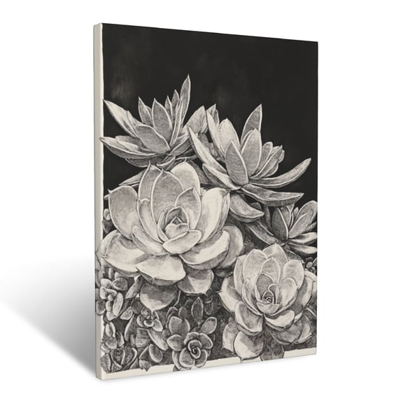 CozyNet Monochromatic Botanical Etching Of Succulents & Desert Plants Wall Art Prints With Frame Canvas Perfect for Living Room & Bedroom, Ready to Hang, Wall Decor 12"x16"in