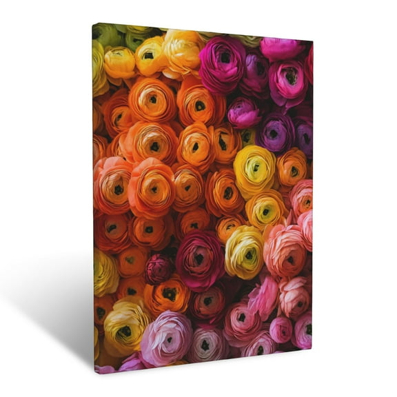 CozyNet Multicolored Ranunculus Flowers Blooming In Organized Rows Wall Art Prints With Frame Canvas Perfect for Living Room & Bedroom, Ready to Hang, Wall Decor 12"x16"in