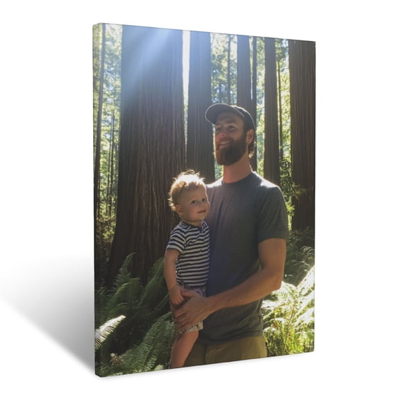 CozyNet Towering Redwood Trees Framed By Wild Ferns & Sunlight Beams Wall Art Prints With Frame Canvas Perfect for Living Room & Bedroom, Ready to Hang, Wall Decor 16"x20"in