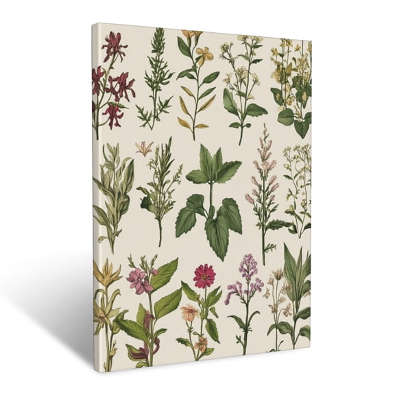 CozyNet Vintage Botanical Artwork Of Medicinal Plants With Hand Drawn Details Wall Art Prints With Frame Canvas Perfect for Living Room & Bedroom, Ready to Hang, Wall Decor 12"x16"in