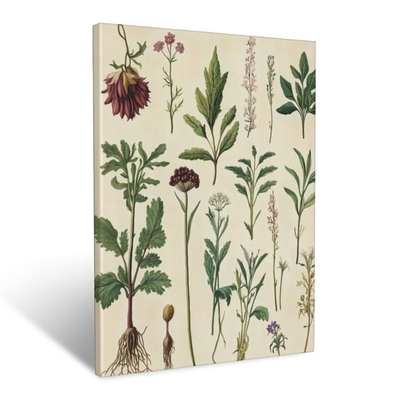 CozyNet Vintage Botanical Print Of Assorted Herbs, Roots & Flowering Stems In Muted Tones Wall Art Prints With Frame Canvas Perfect for Living Room & Bedroom, Ready to Hang, Wall Decor 12"x16"in