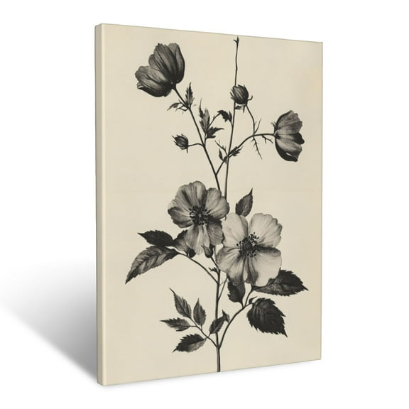 CozyNet Vintage Style Botanical Etching Featuring Wildflower Blossoms And Leafy Stems Wall Art Prints With Frame Canvas Perfect for Living Room & Bedroom, Ready to Hang, Wall Decor 12"x16"in
