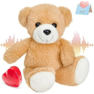 Teddy Bear Recorded Message