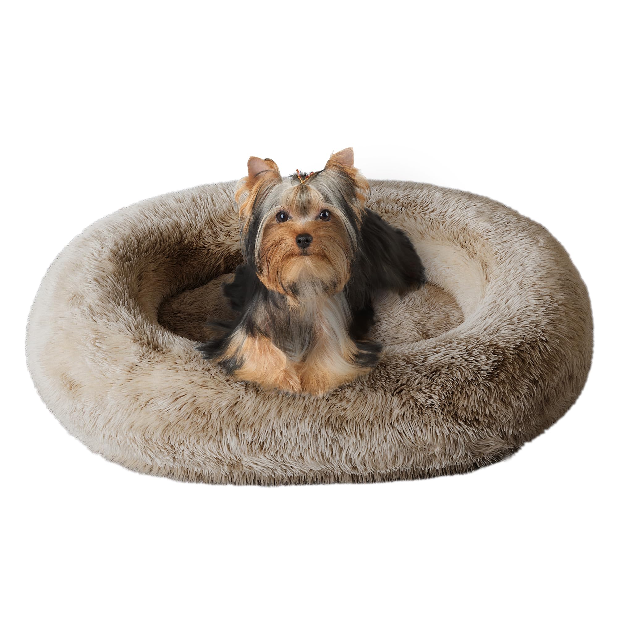 Cozzze Orthopedic Calming Dog Bed for Medium Dogs, Anti Anxiety Pet Bed