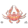 thumbnail image 1 of Crab - 5" Vinyl Sticker - For Car Laptop I-Pad - Waterproof Decal, 1 of 1