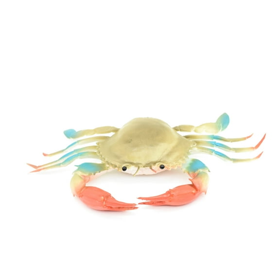 Crab, Blue Crab, With Squeak, Squeakee, Rubber, Crustacean Design, Educational, Hand Painted, Figure, Lifelike, Model, Replica, Gift 8" F1611 B128