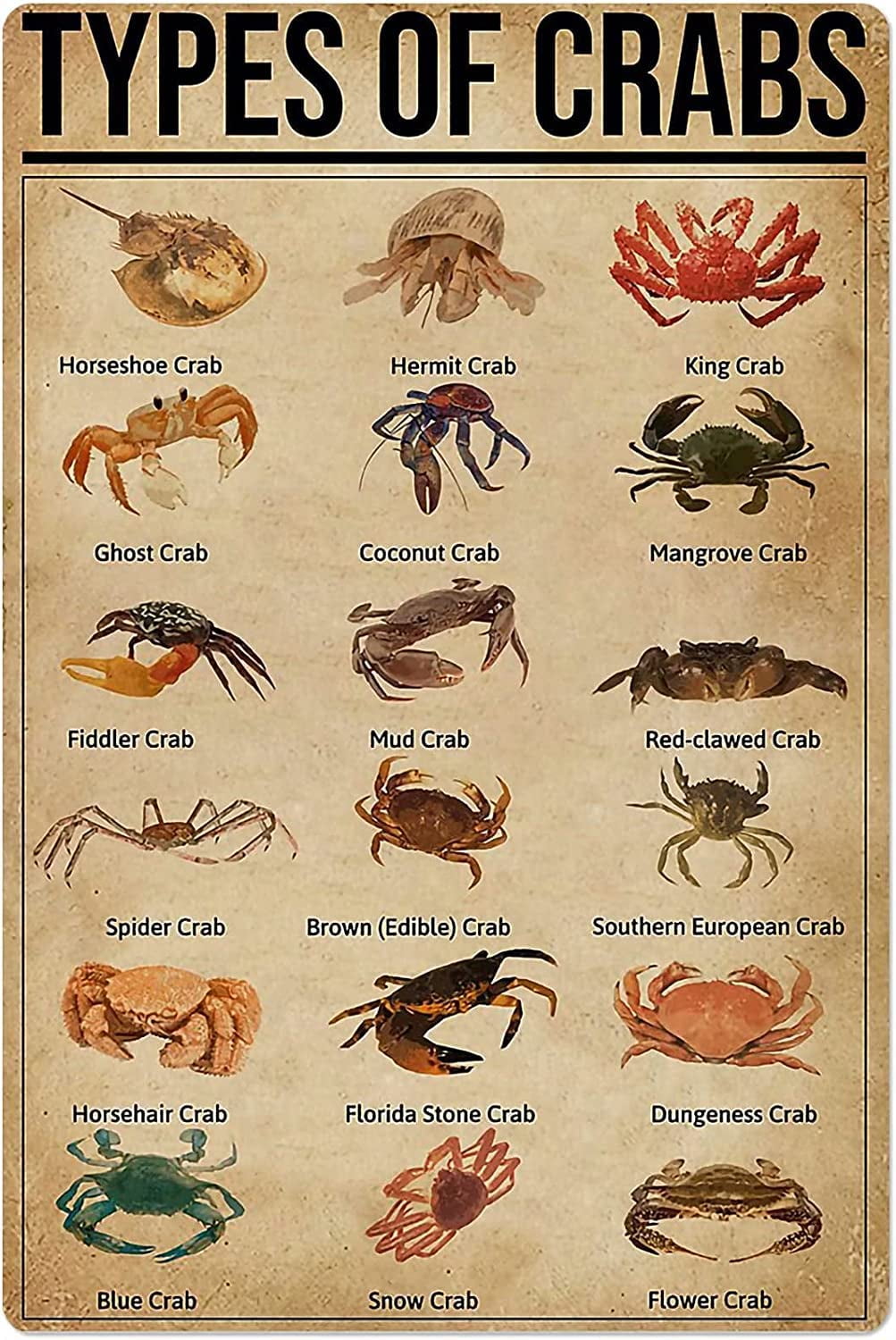 Crab Chart Metal Signs Wall Decor Educational Science Posters Types of