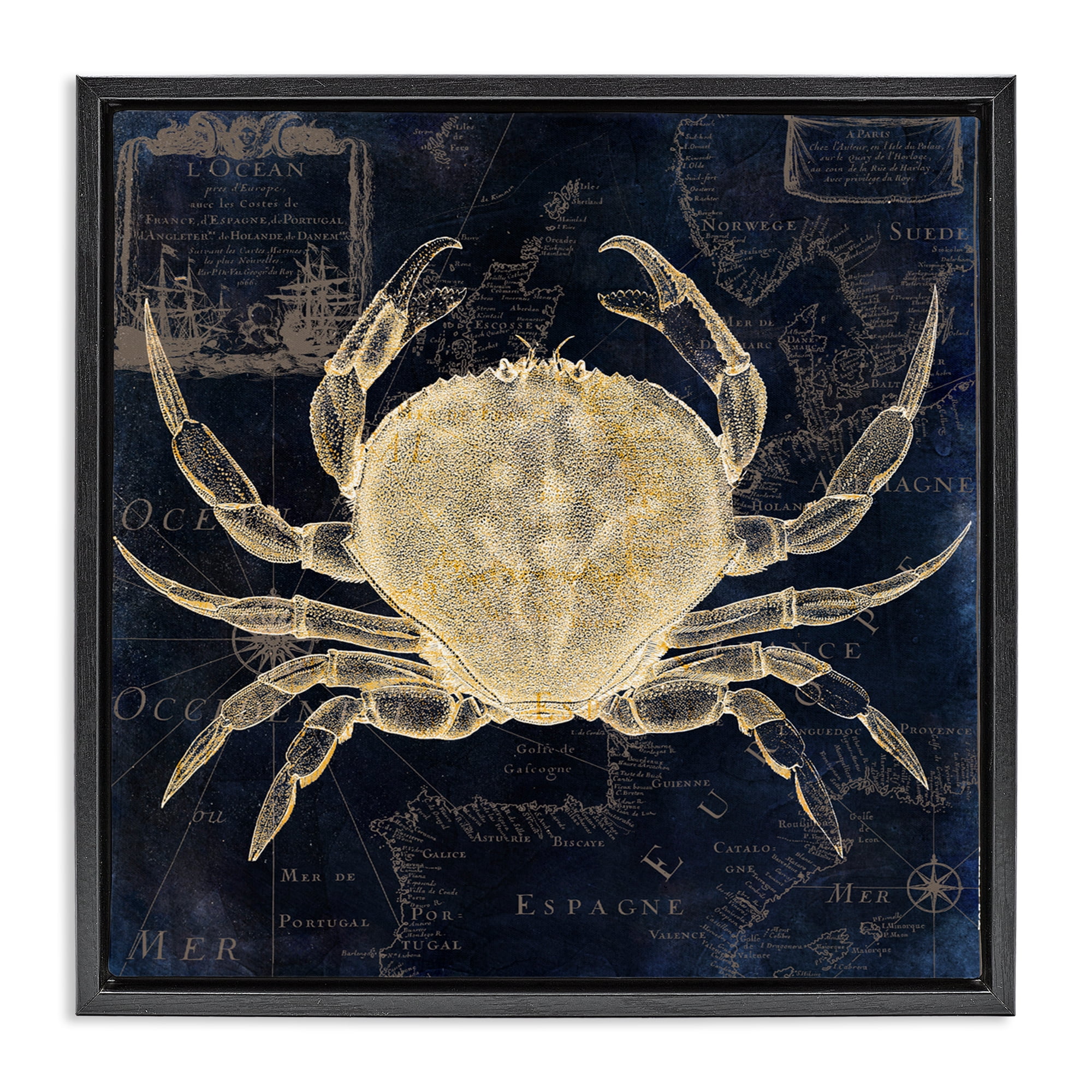 Crab Contour over Map Black Framed Floater Canvas Wall Art, design by Sasha
