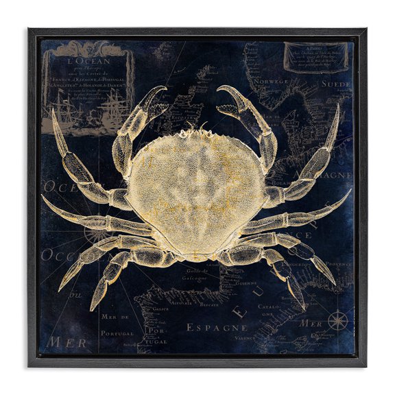Crab Contour over Map Black Framed Floater Canvas Wall Art, design by Sasha