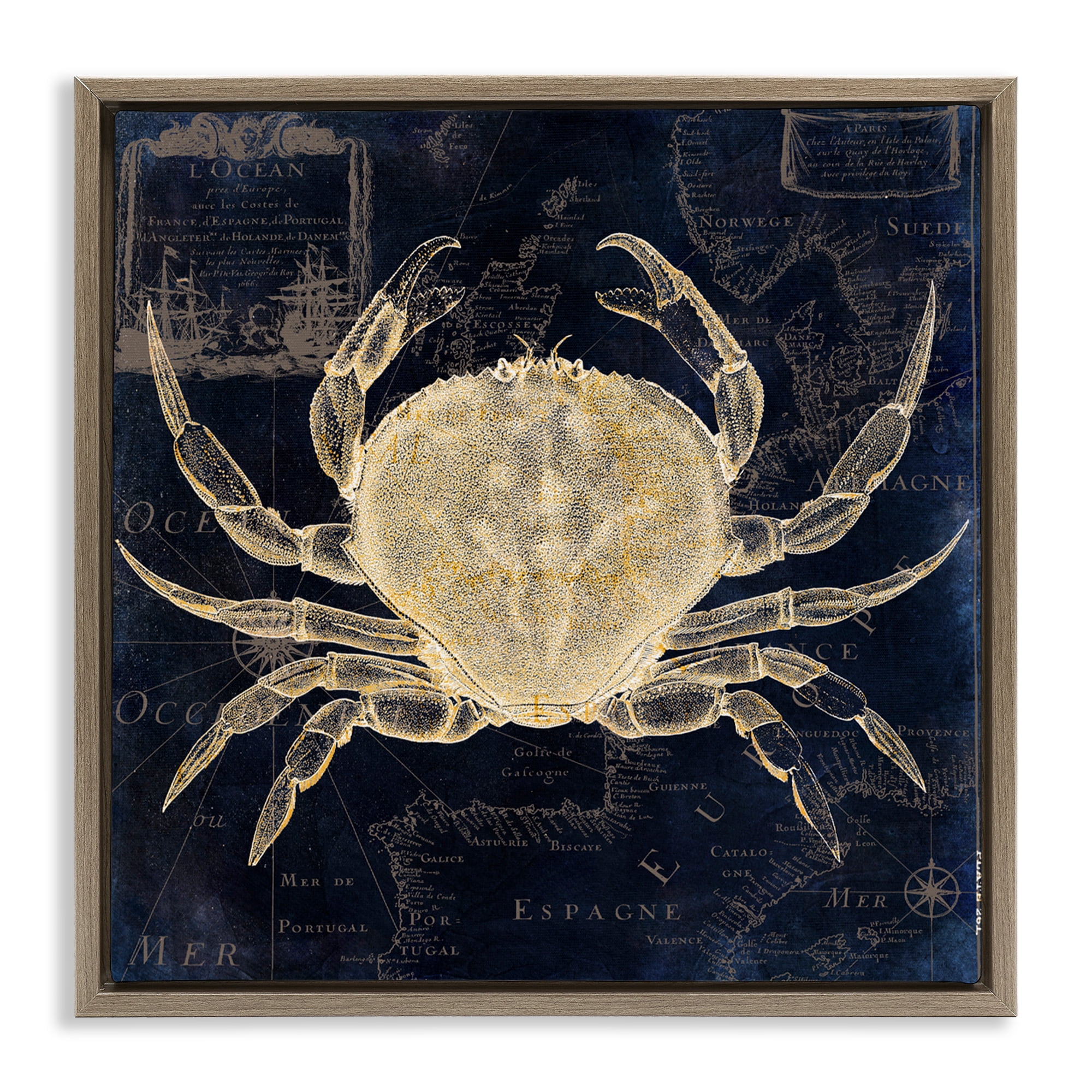 Crab Contour over Map Brown Framed Floater Canvas Wall Art, design by Sasha