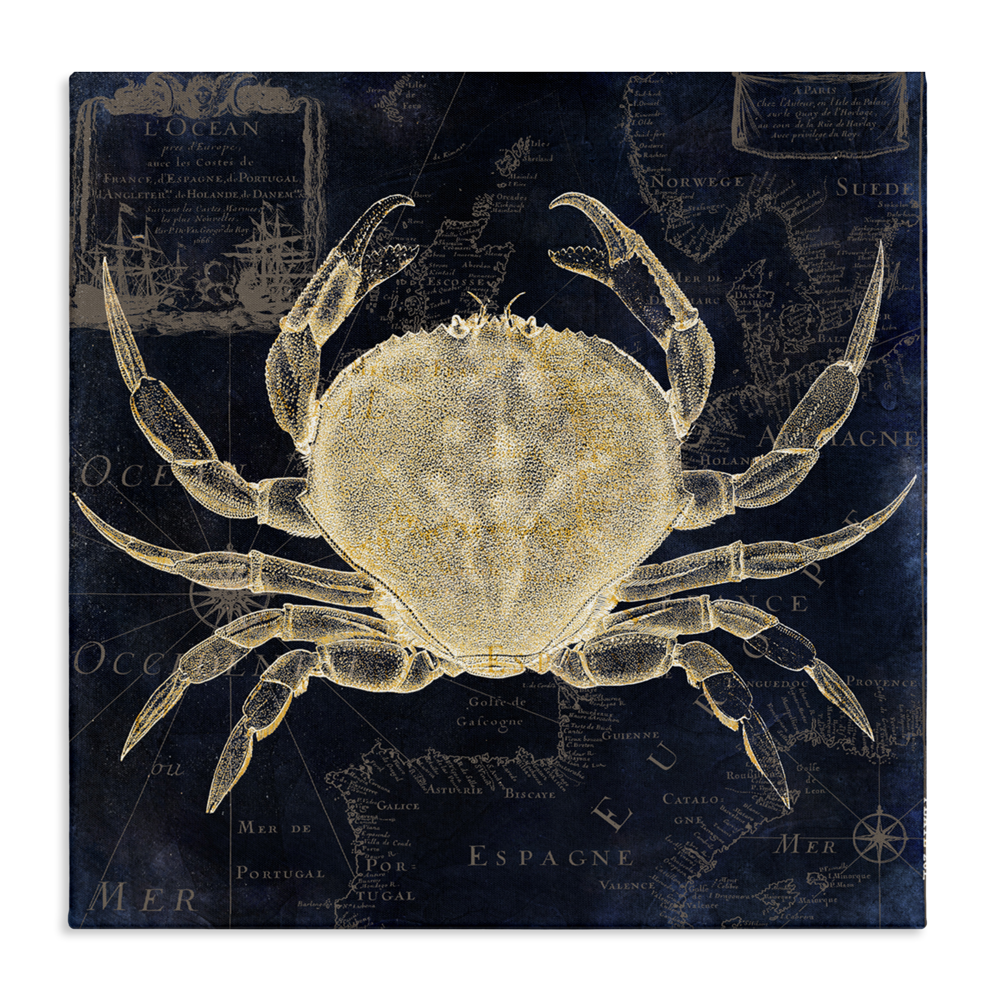 Crab Contour over Map Canvas Wall Art, design by Sasha