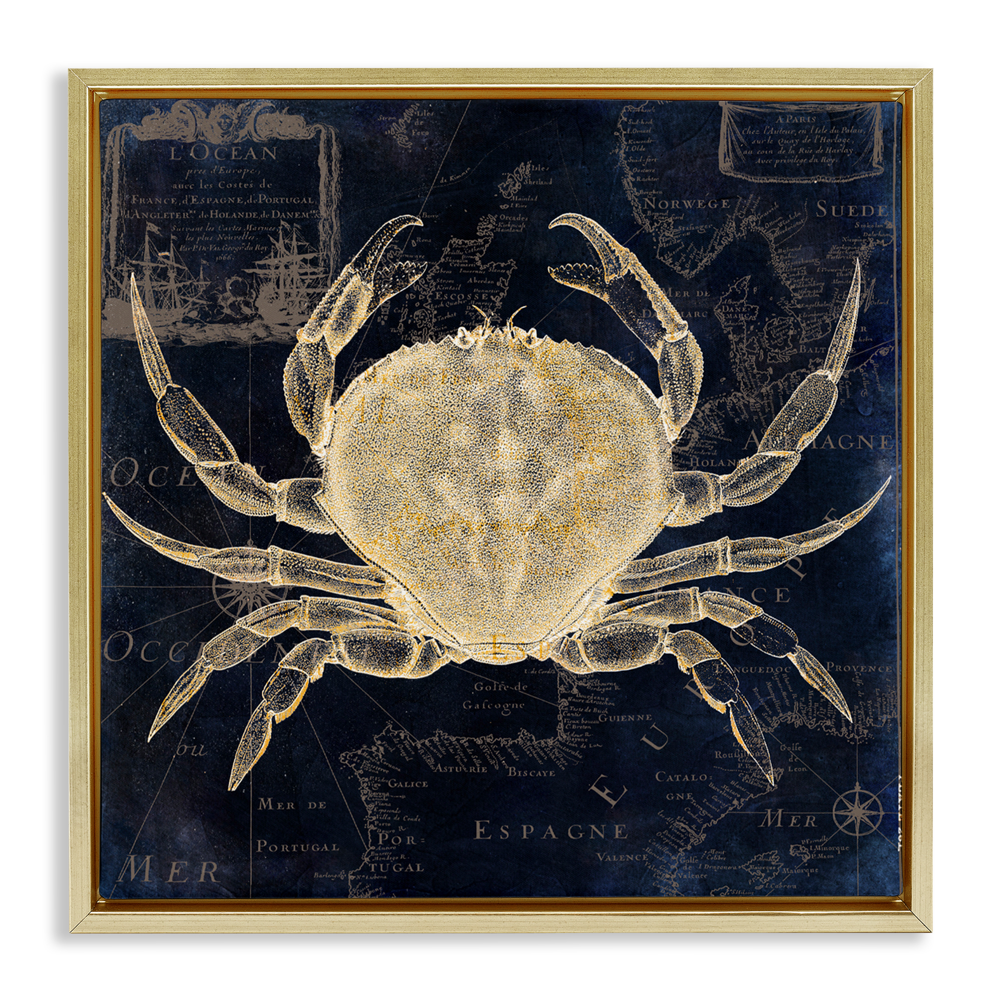 Crab Contour over Map Gold Framed Floater Canvas Wall Art, design by Sasha