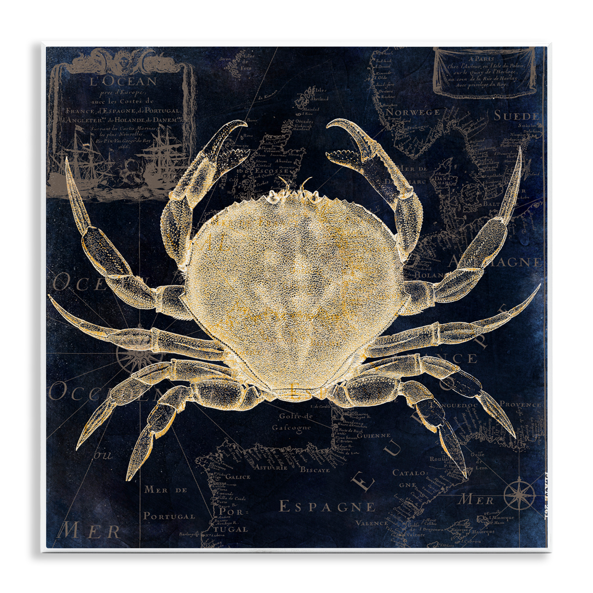 Crab Contour over Map Wall Plaque Art, design by Sasha