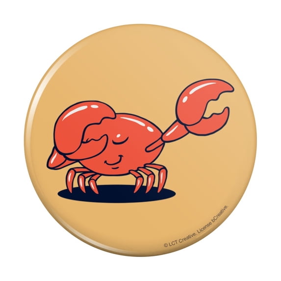 Crab Dubstep Funny Humor Pinback Button Pin