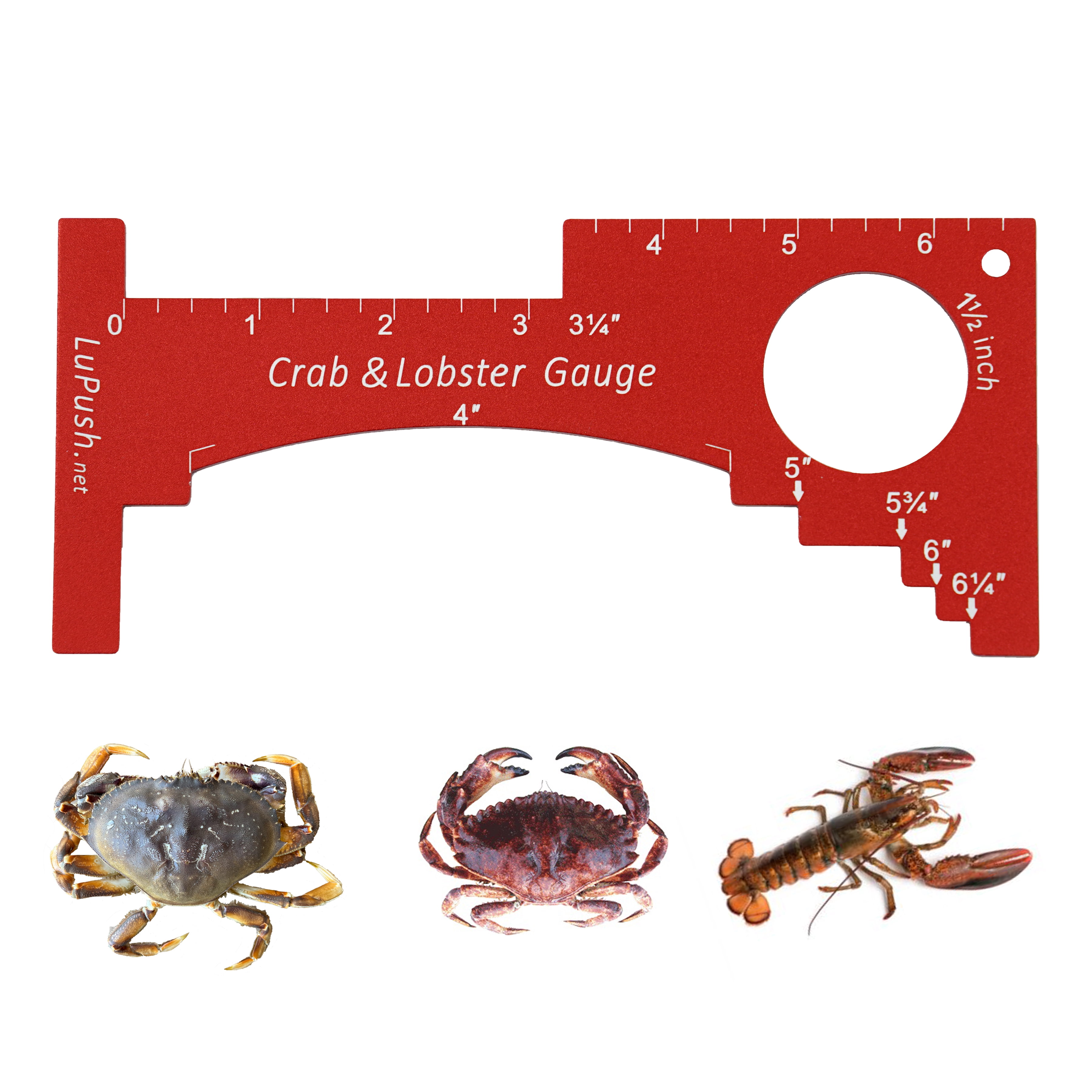 crab gauge tackle box Lee Fisher Sports Hyper One Tray The Keep or Kick Crab Gauge takes the guesswork out of measuring your catch AirFly Crab Gauge Measurement Tool