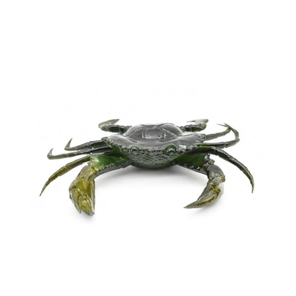 Crab, Mud Crab, With Squeak, Squeakee, Rubber, Crustacean Design, Educational, Hand Painted, Figure, Lifelike, Model, Replica, Gift 7" F1765 B107